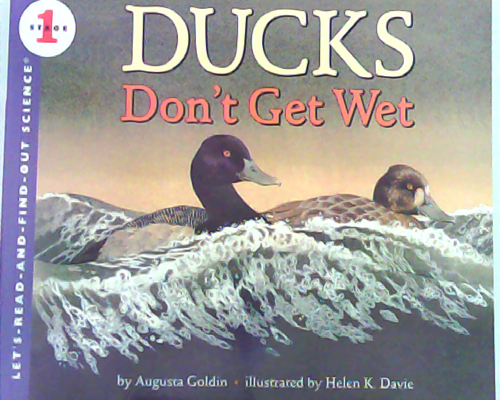 Ducks Don't Get Wet